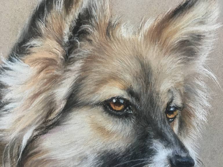 Original Realism Animal Drawing by Juan Pastor De La Puente