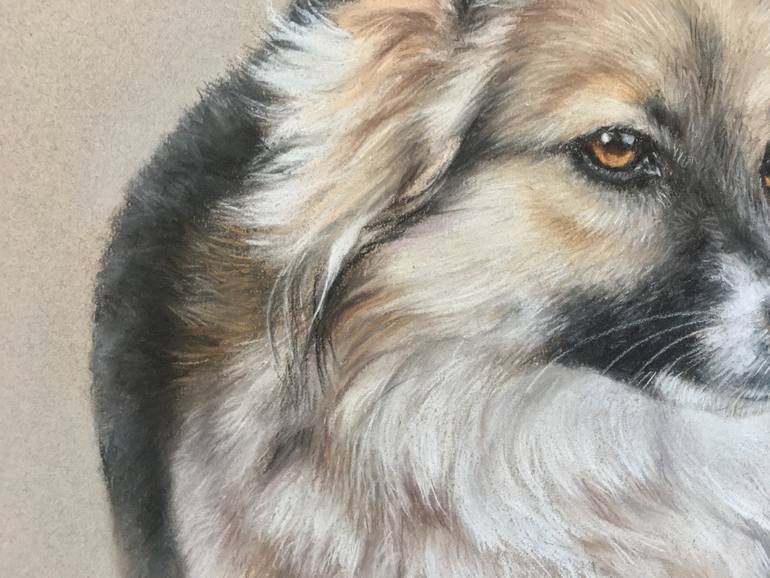 Original Realism Animal Drawing by Juan Pastor De La Puente