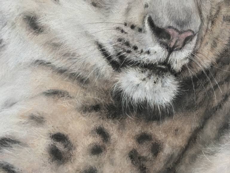 Original Realism Animal Drawing by Juan Pastor De La Puente