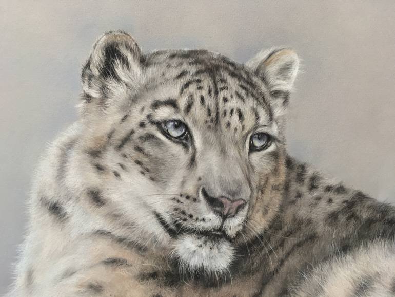 Original Realism Animal Drawing by Juan Pastor De La Puente