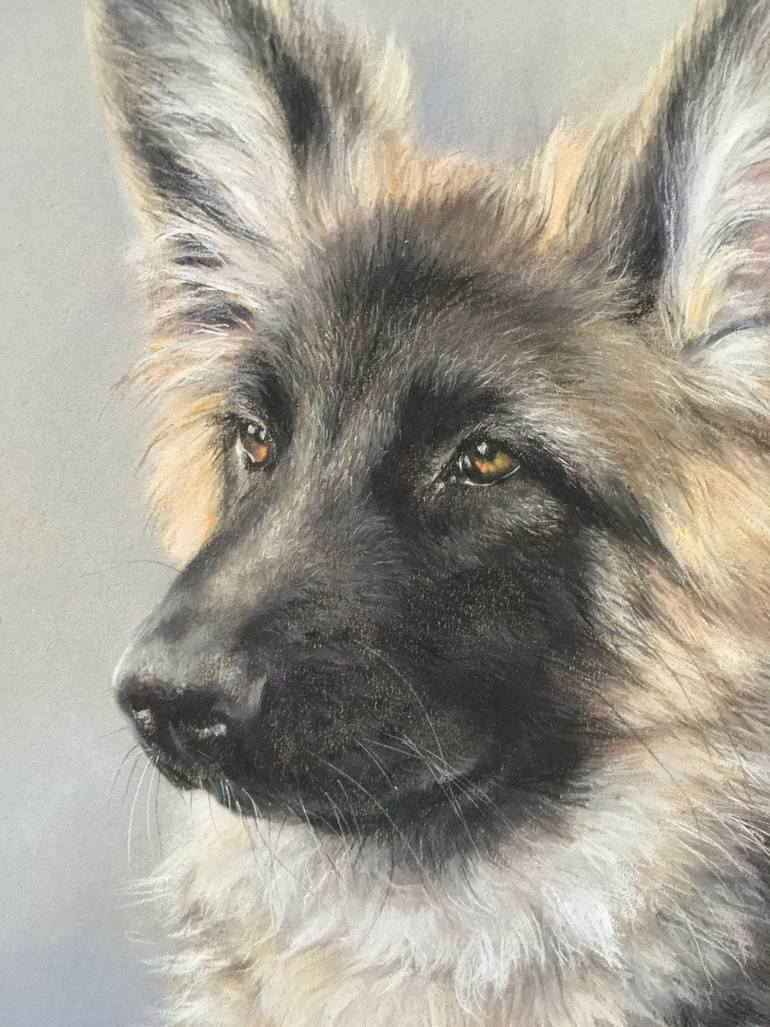 Original Realism Animal Drawing by Juan Pastor De La Puente