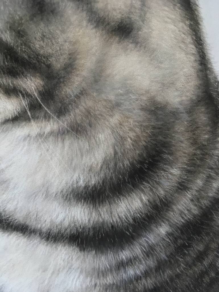 Original Realism Animal Drawing by Juan Pastor De La Puente