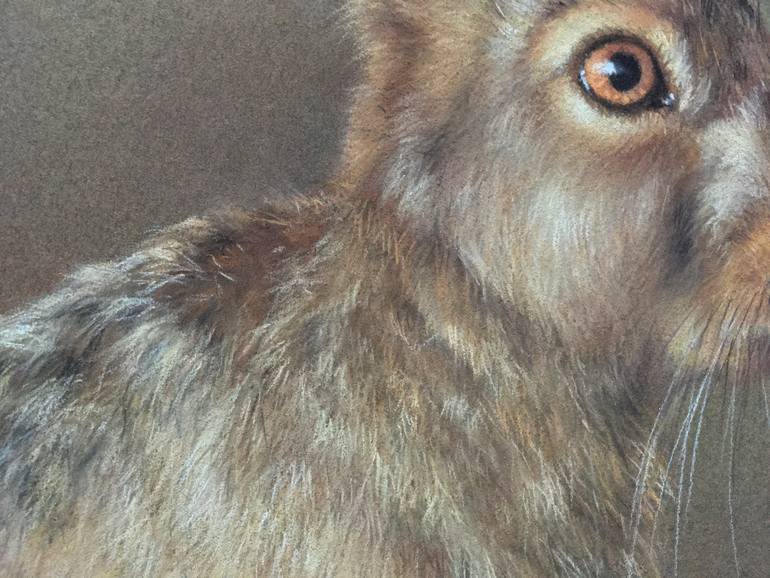Original Realism Animal Drawing by Juan Pastor De La Puente