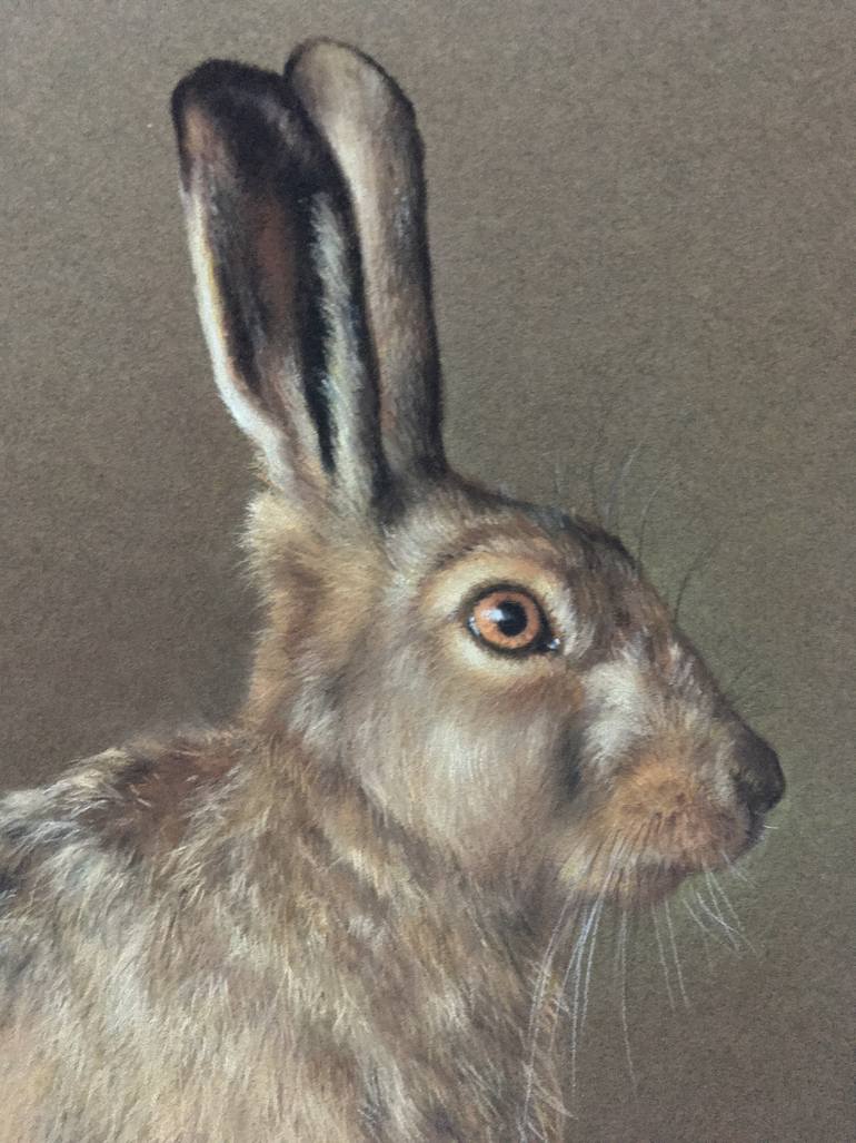 Original Realism Animal Drawing by Juan Pastor De La Puente
