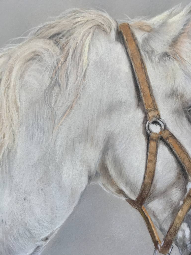 Original Realism Animal Drawing by Juan Pastor De La Puente