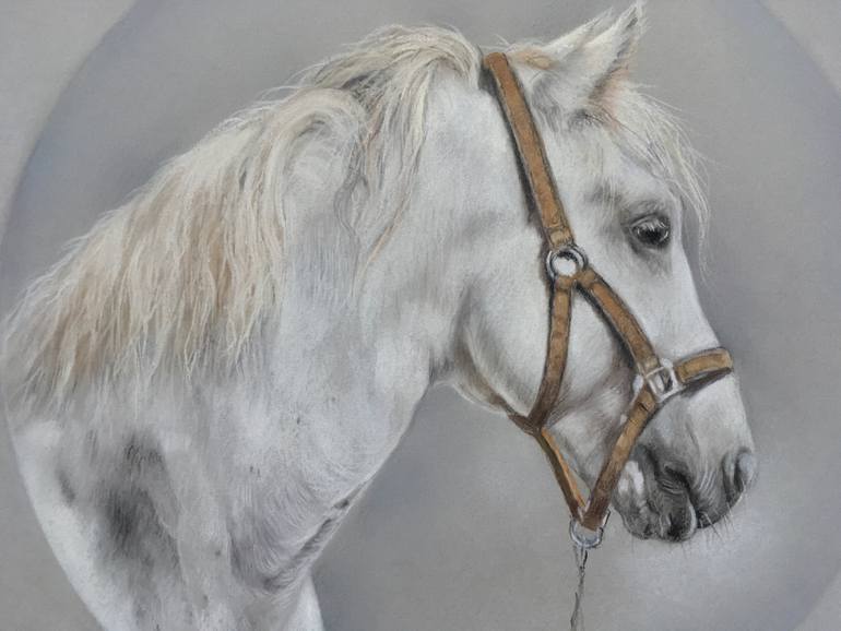 Original Realism Animal Drawing by Juan Pastor De La Puente