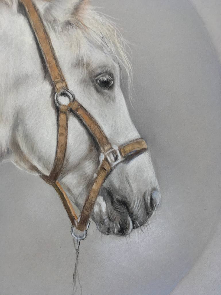Original Realism Animal Drawing by Juan Pastor De La Puente