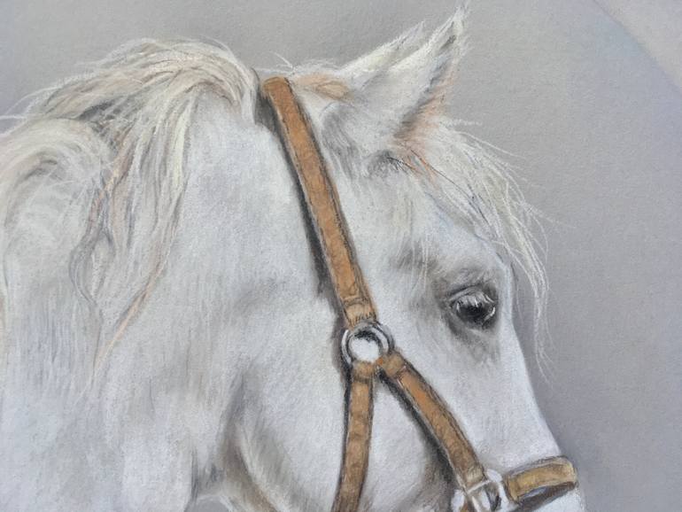 Original Realism Animal Drawing by Juan Pastor De La Puente