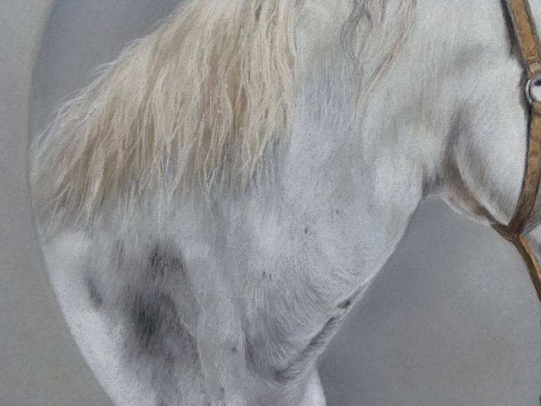 Original Realism Animal Drawing by Juan Pastor De La Puente