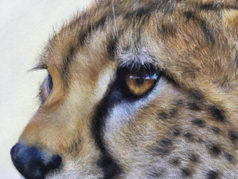 Original Realism Animal Drawing by Juan Pastor De La Puente