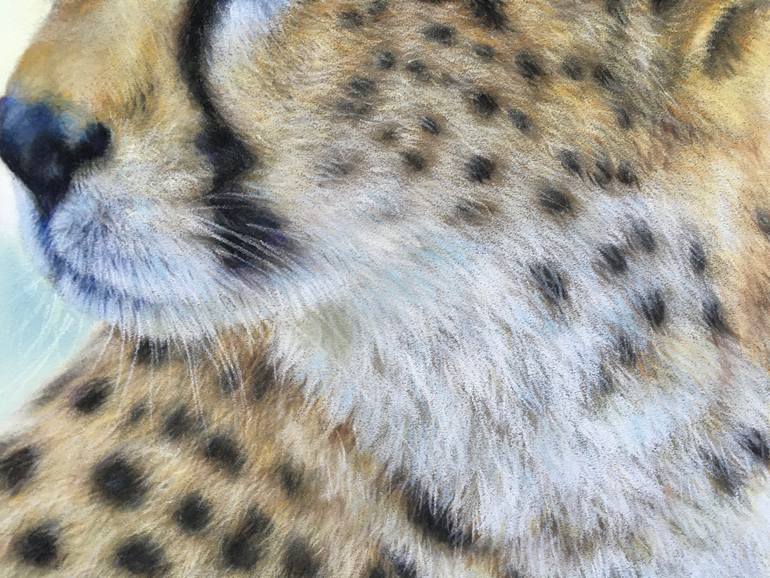 Original Realism Animal Drawing by Juan Pastor De La Puente