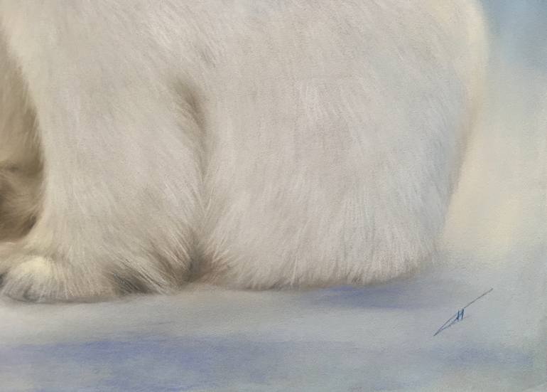 Original Realism Animal Drawing by Juan Pastor De La Puente