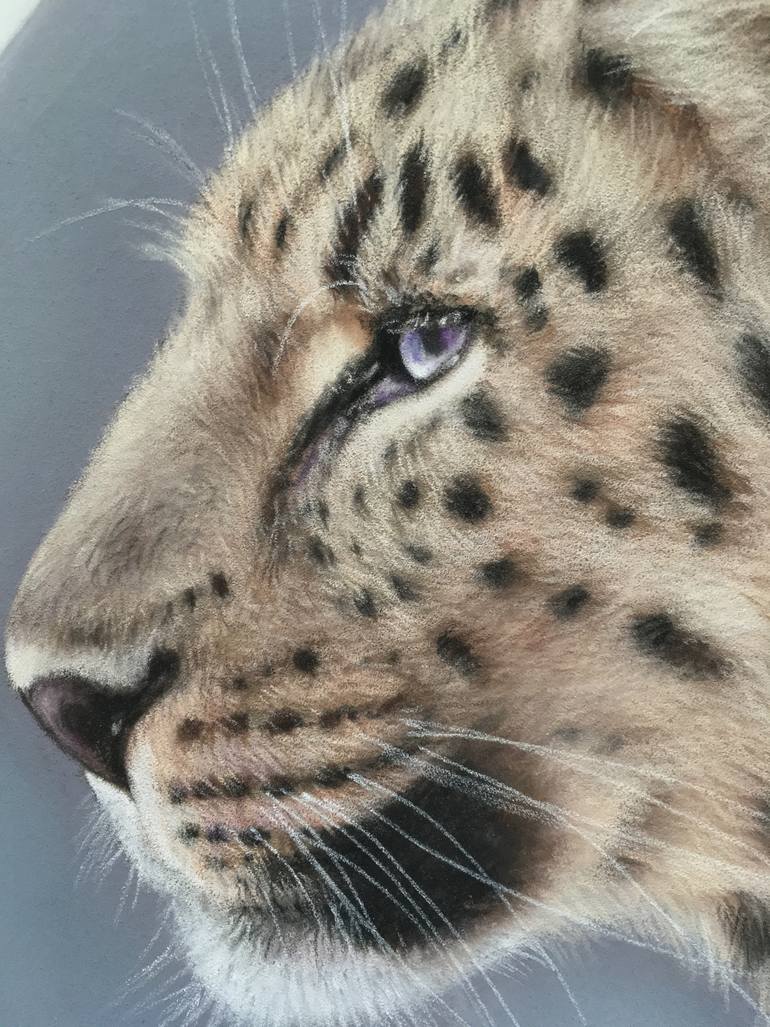 Original Realism Animal Drawing by Juan Pastor De La Puente