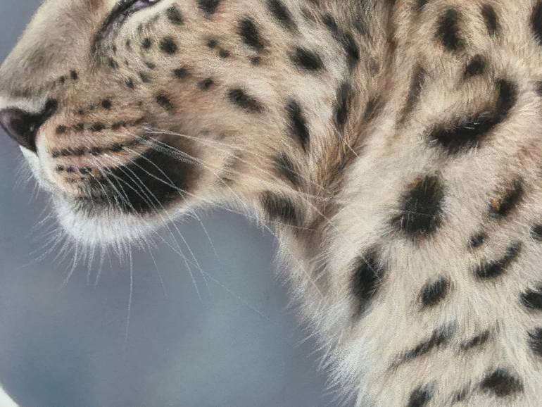 Original Realism Animal Drawing by Juan Pastor De La Puente
