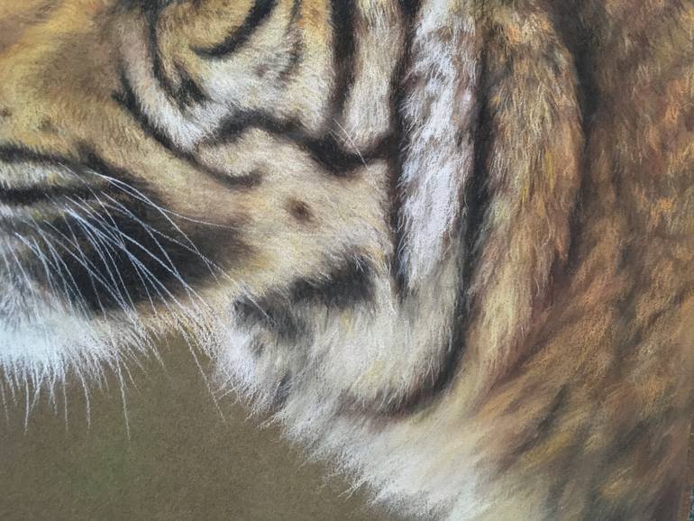 Original Realism Animal Drawing by Juan Pastor De La Puente