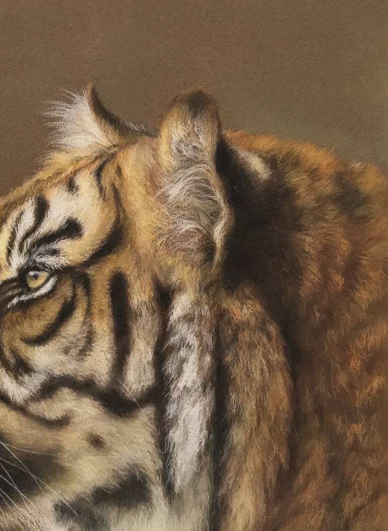 Original Realism Animal Drawing by Juan Pastor De La Puente