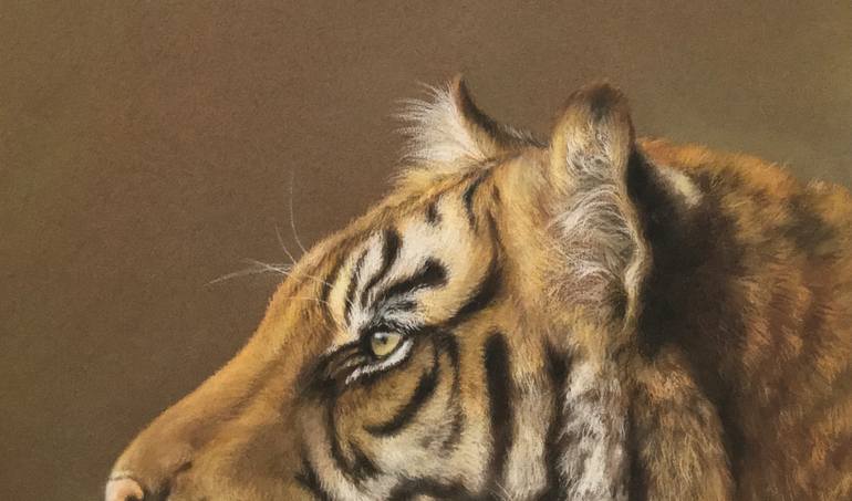 Original Realism Animal Drawing by Juan Pastor De La Puente