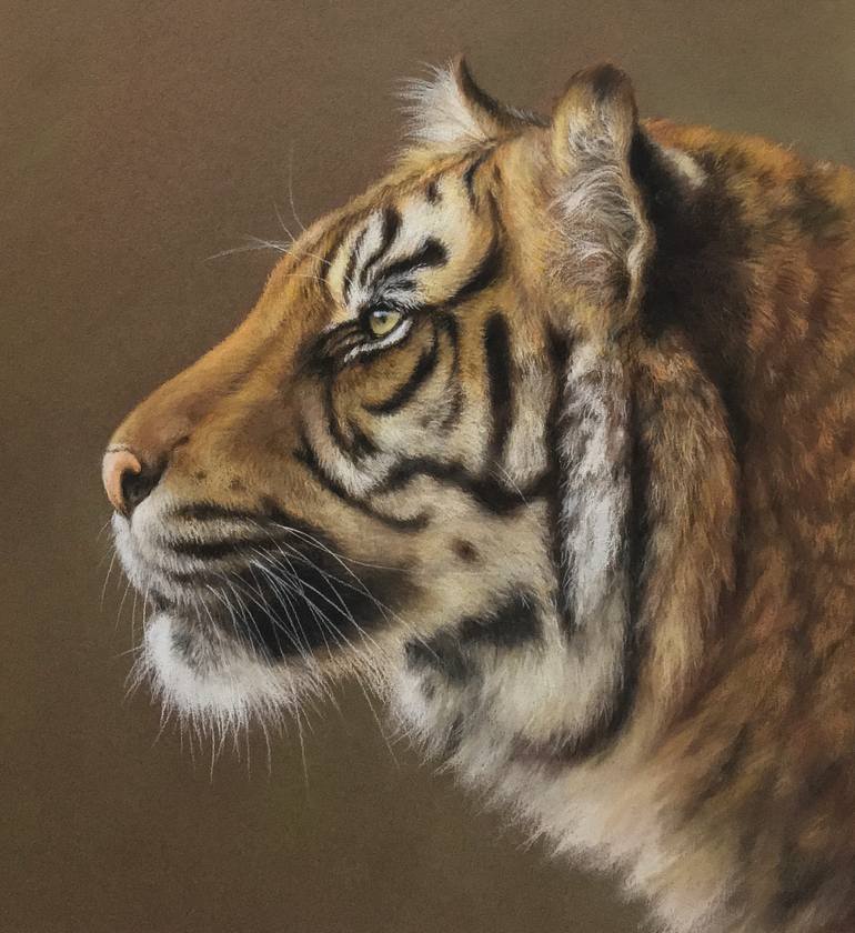 Original Realism Animal Drawing by Juan Pastor De La Puente
