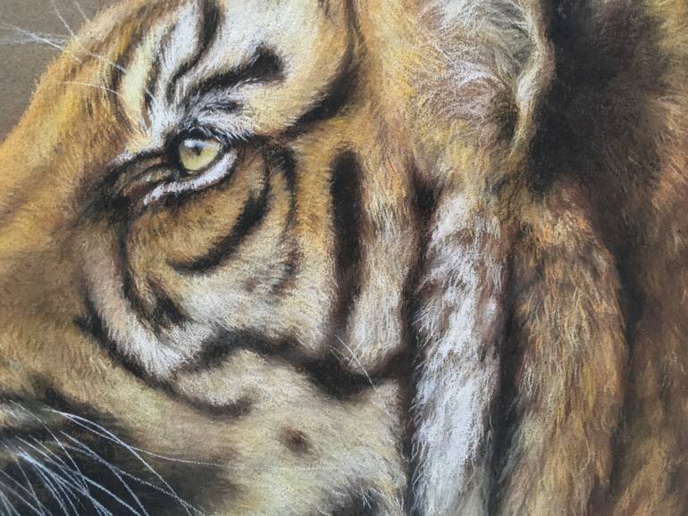 Original Realism Animal Drawing by Juan Pastor De La Puente