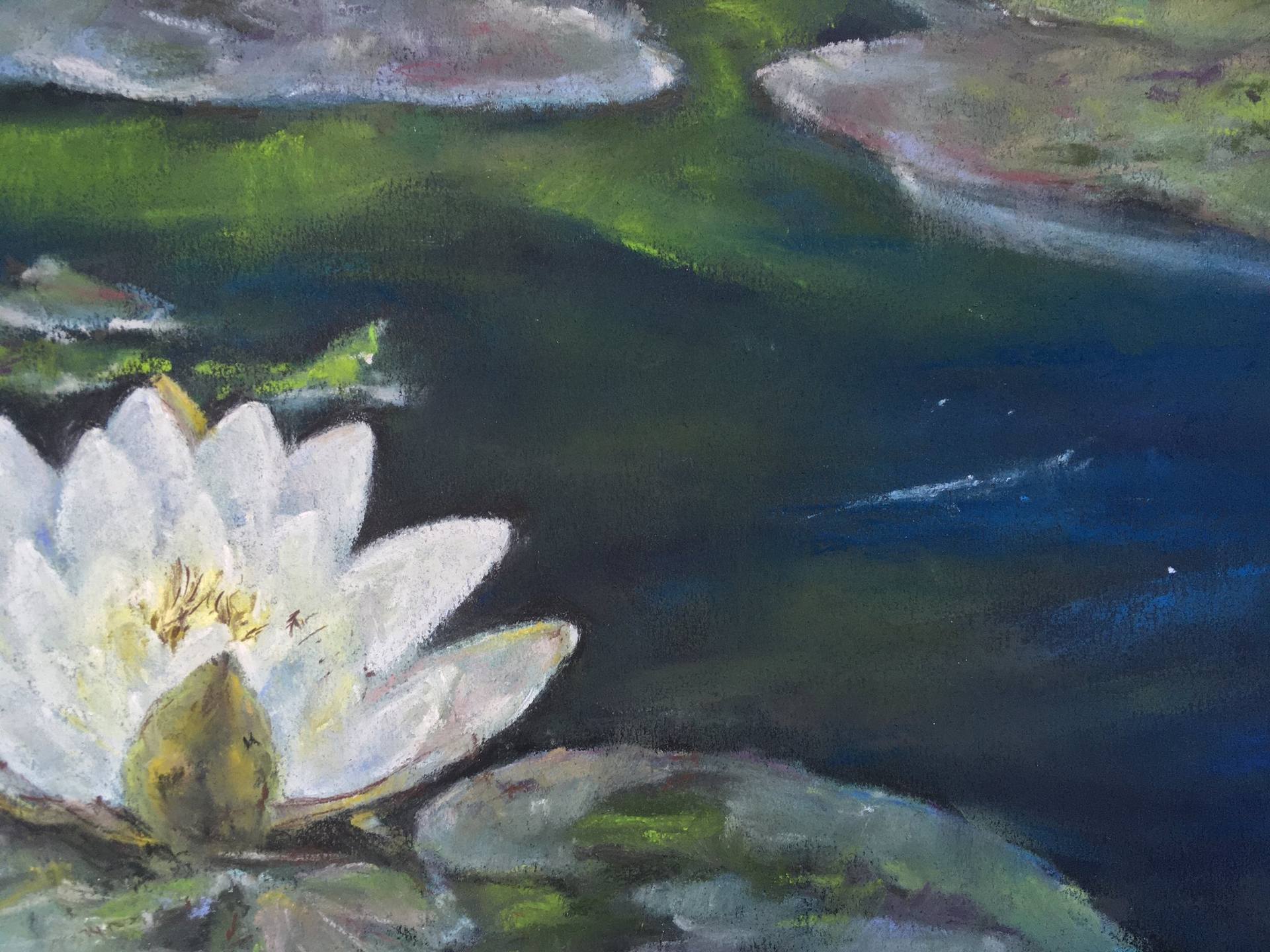 White Water Lily (pastel painting)