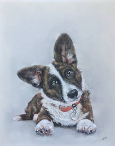 Welsh Corgi Cardigan - cute dog and friend! Pastel portrait thumb