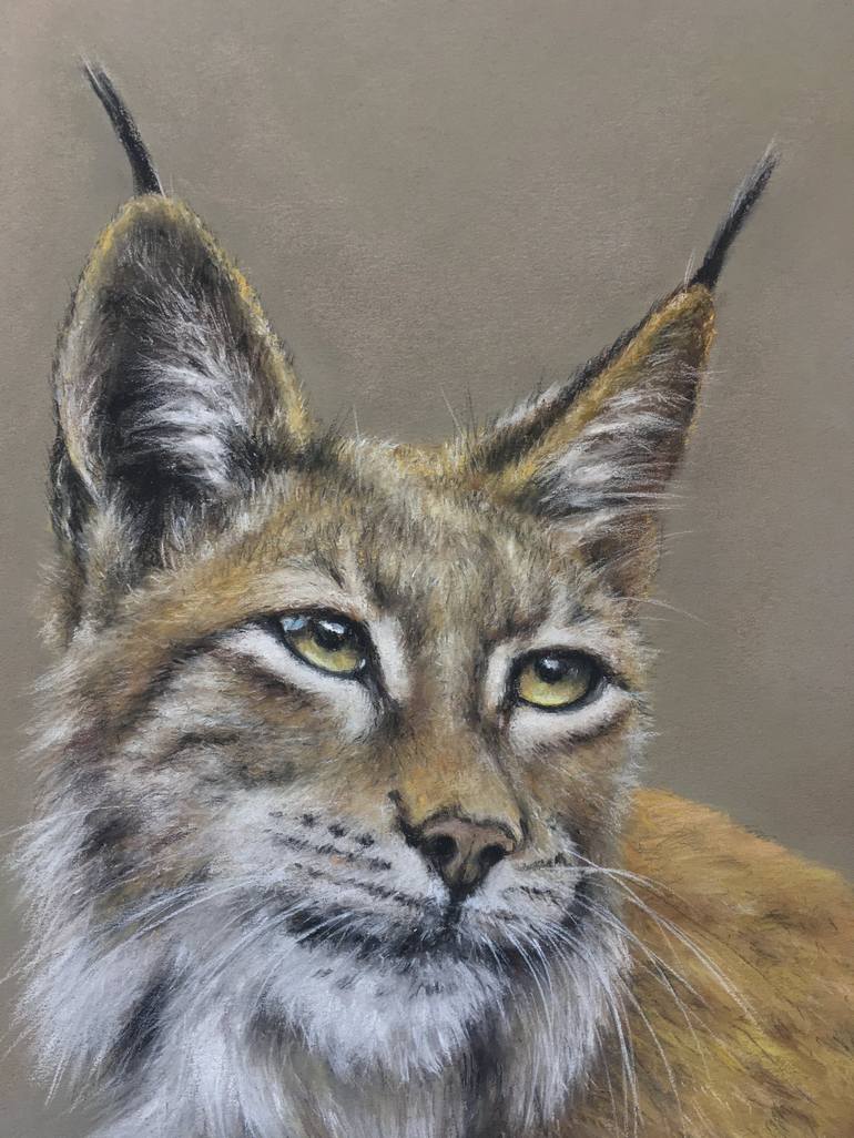 Original Realism Animal Drawing by Juan Pastor de la Puente