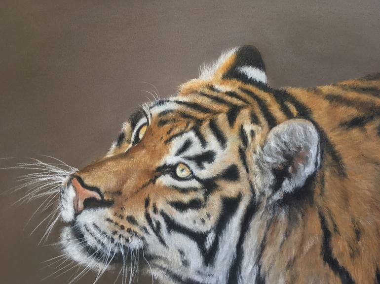 Original Realism Animal Drawing by Juan Pastor de la Puente