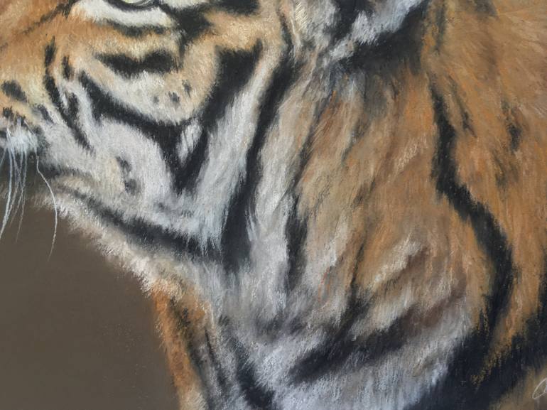 Original Realism Animal Drawing by Juan Pastor de la Puente