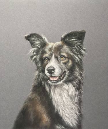 Original Realism Animal Drawings by Juan Pastor de la Puente