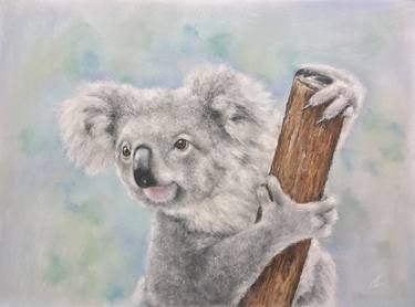 Cute koala Australian animal Pastel painting Realism thumb