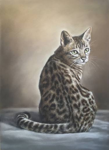 Bengal cat Pets Pastel painting Animals Realism thumb