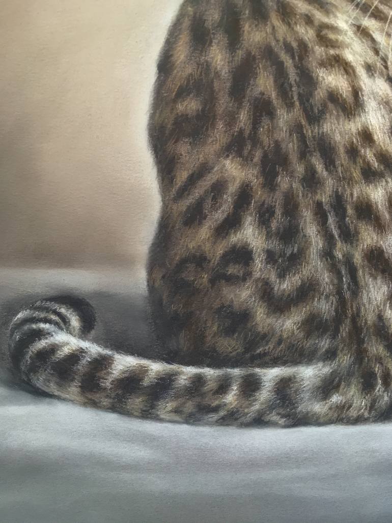 Original Realism Animal Drawing by Juan Pastor De La Puente