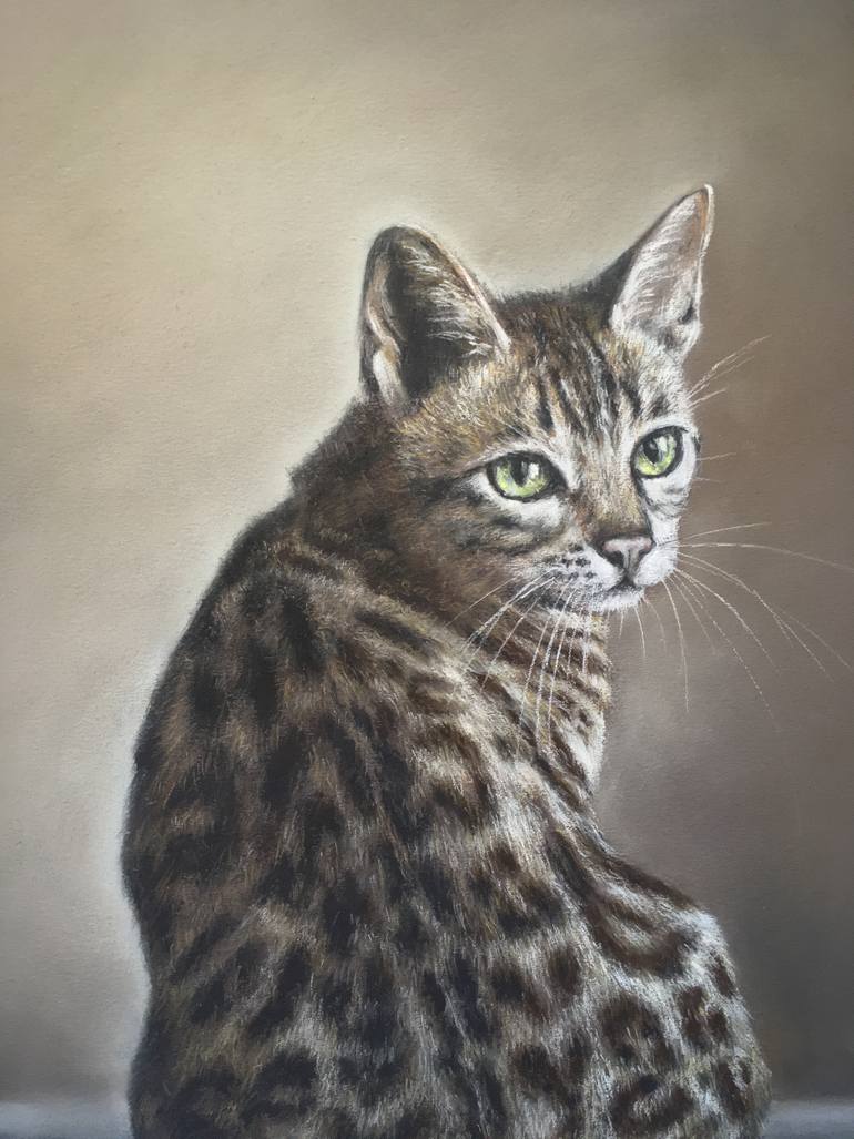 Original Realism Animal Drawing by Juan Pastor De La Puente