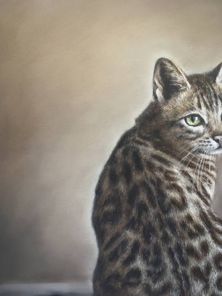 Original Realism Animal Drawing by Juan Pastor De La Puente
