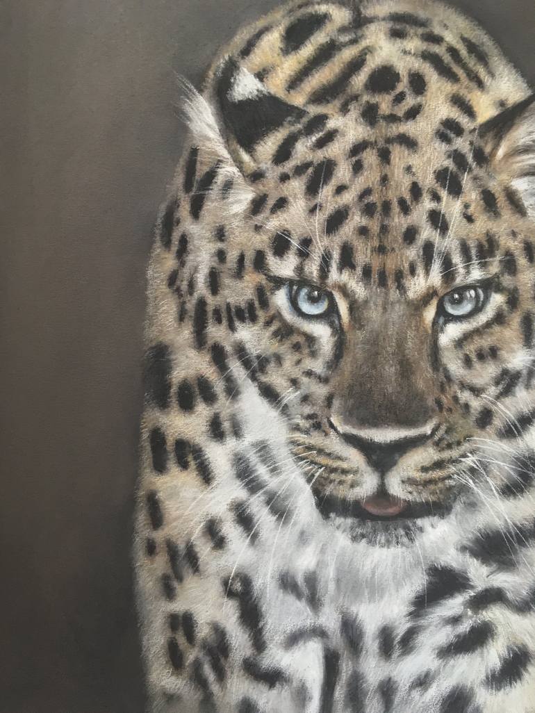 Original Realism Animal Drawing by Juan Pastor de la Puente