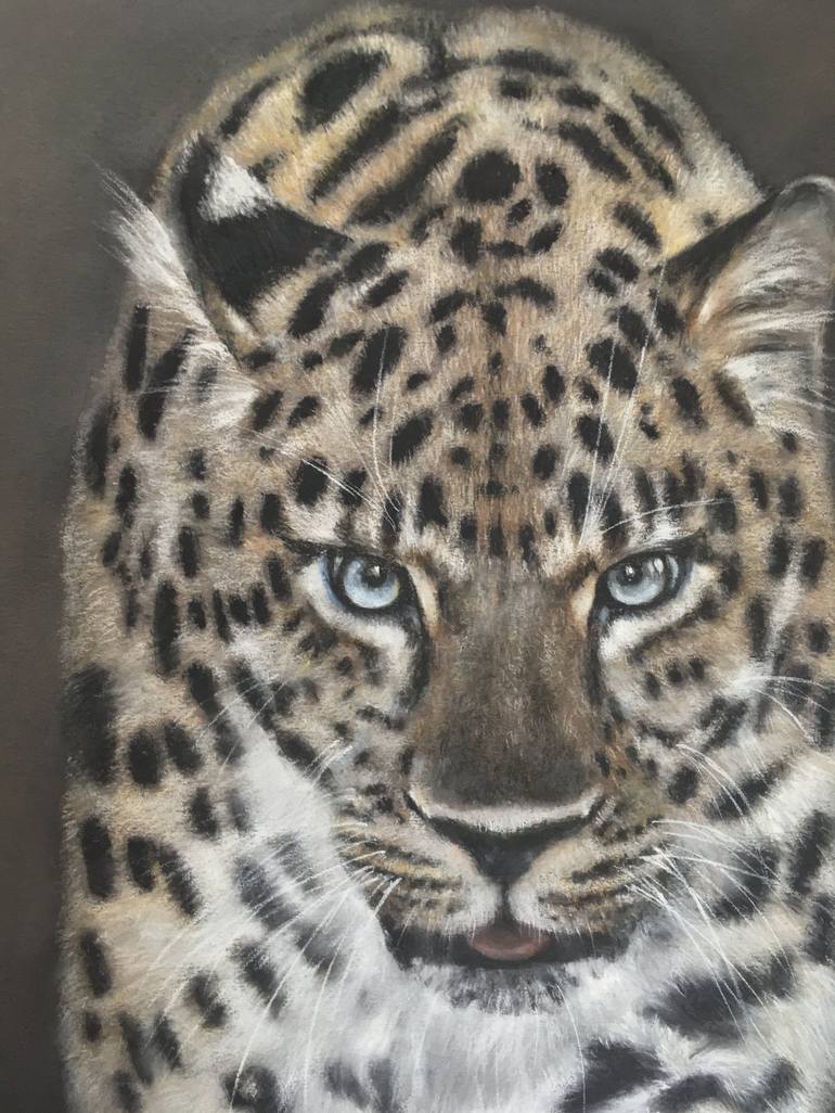 Original Realism Animal Drawing by Juan Pastor de la Puente