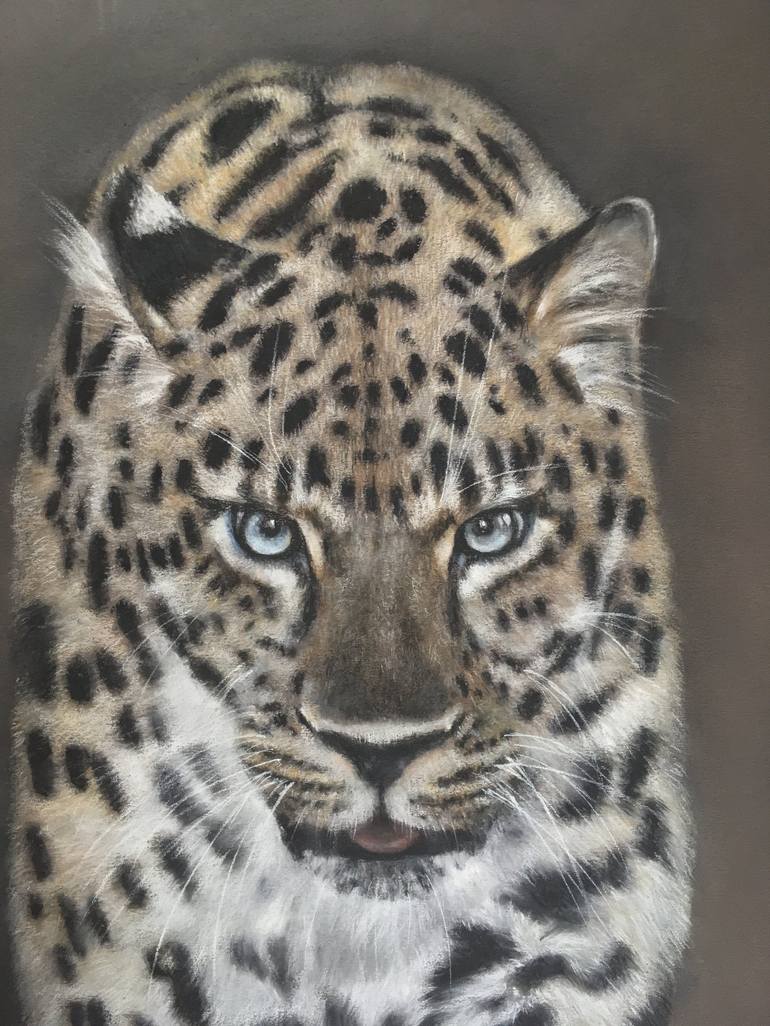 Leopard Wild cat Realism Animalism Pastel art decor Drawing by Juan ...