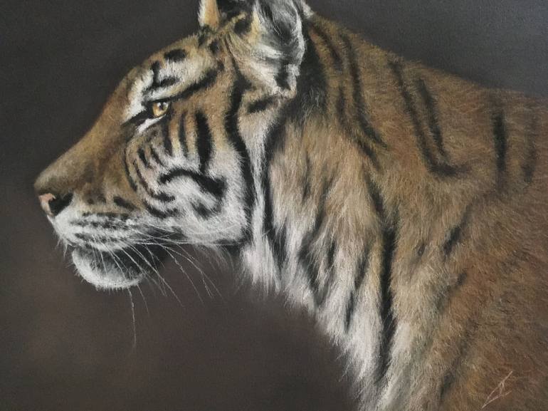 Original Realism Animal Drawing by Juan Pastor de la Puente