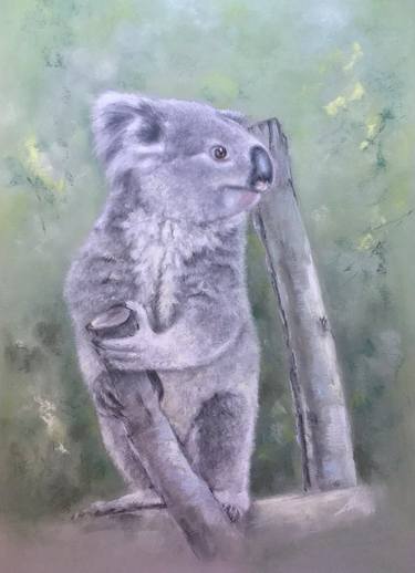 Koala Zoo Madrid Animals Pastel painting Realism thumb