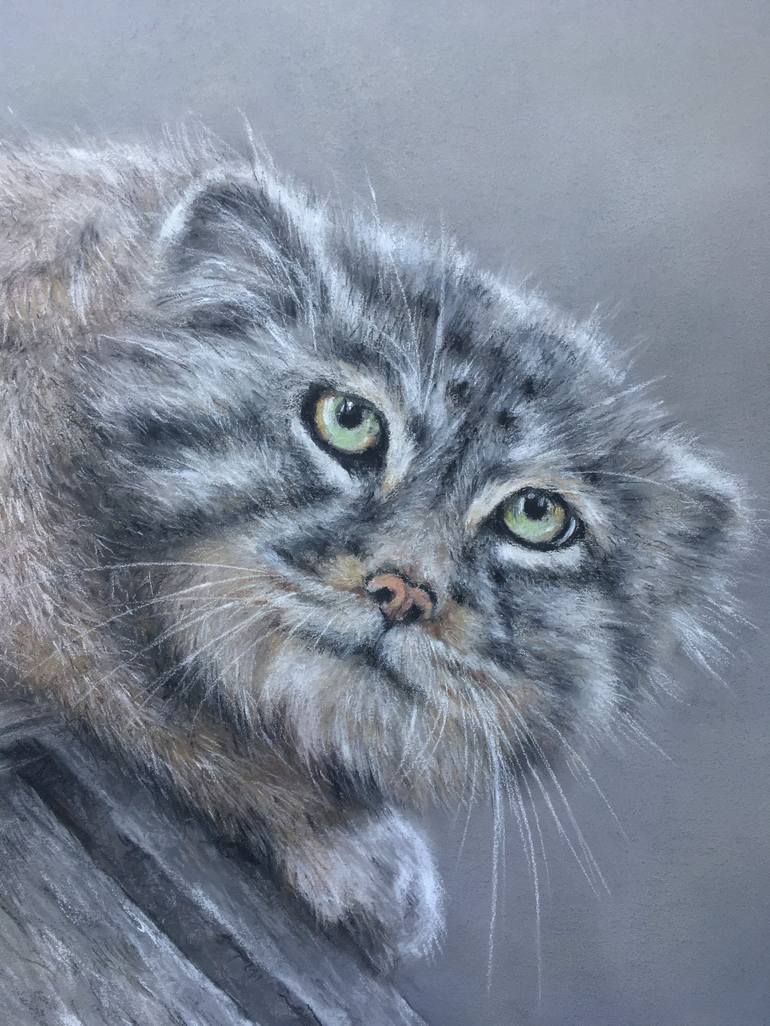 Original Realism Animal Drawing by Juan Pastor De La Puente