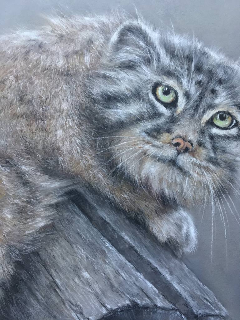 Original Realism Animal Drawing by Juan Pastor De La Puente