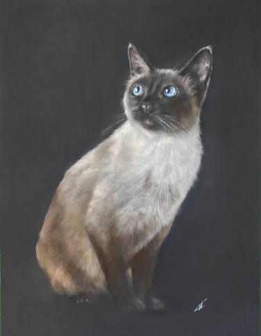 Cat Animal artwork Pastel painting Realism thumb