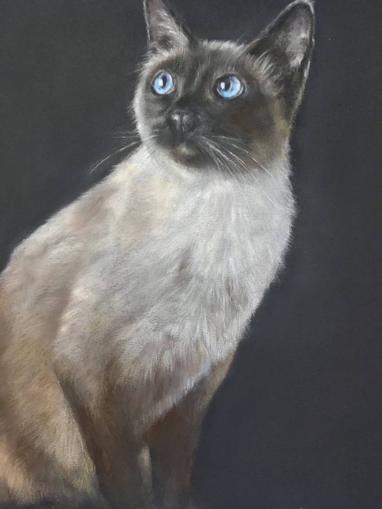 Original Realism Animal Drawing by Juan Pastor de la Puente