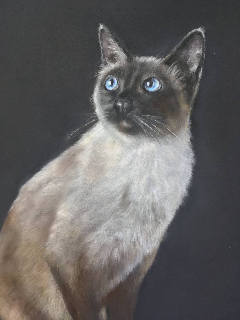 Original Realism Animal Drawing by Juan Pastor de la Puente