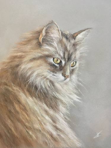 Original Realism Animal Drawings by Juan Pastor de la Puente