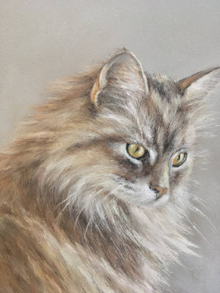 Original Realism Animal Drawing by Juan Pastor de la Puente