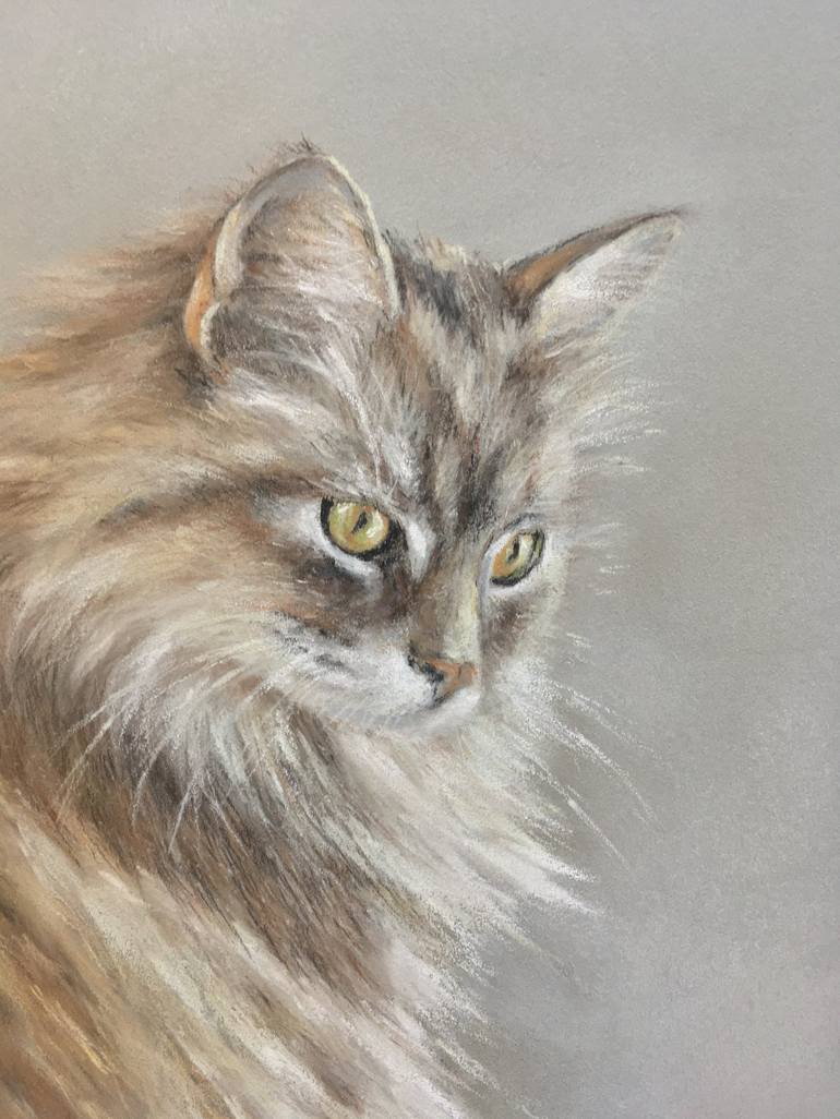 Original Realism Animal Drawing by Juan Pastor de la Puente