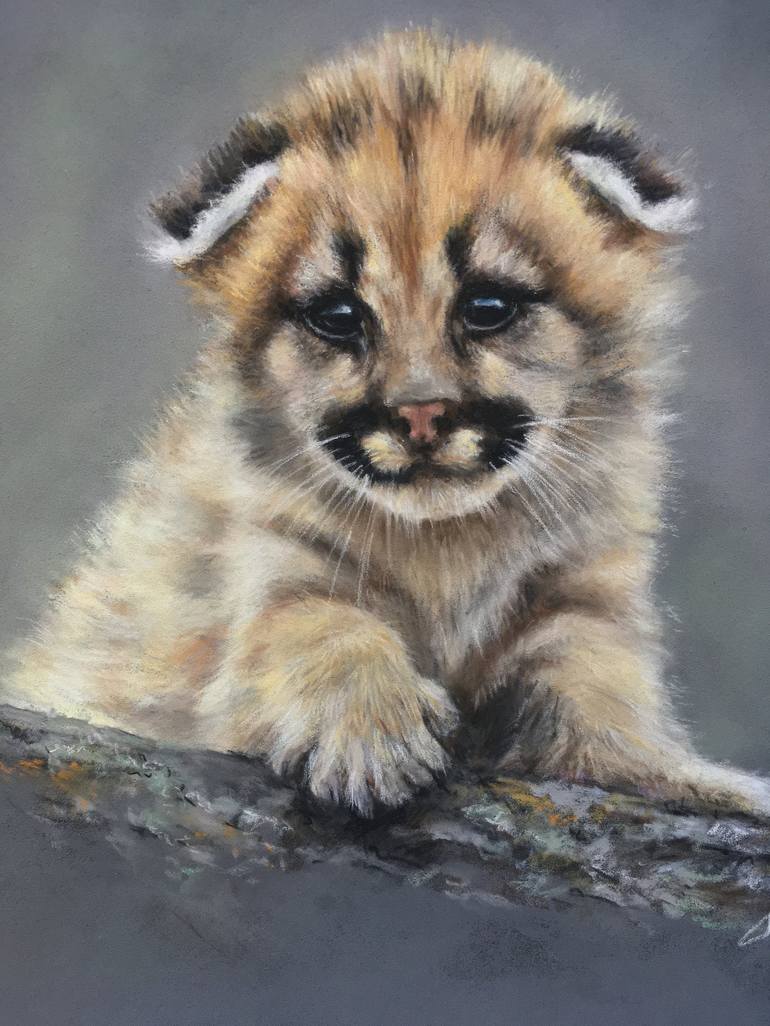 Original Realism Animal Drawing by Juan Pastor de la Puente