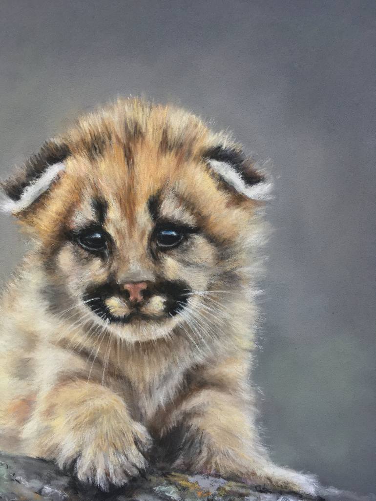 Original Realism Animal Drawing by Juan Pastor de la Puente