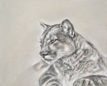 Print of Realism Animal Drawings by Juan Pastor de la Puente